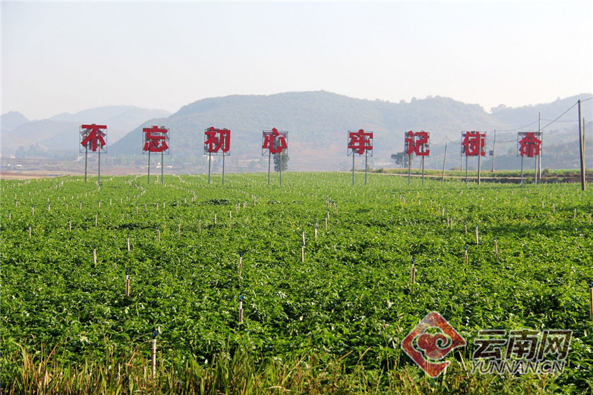 【高清组图】云南文山丘北县:春耕备耕涌春潮