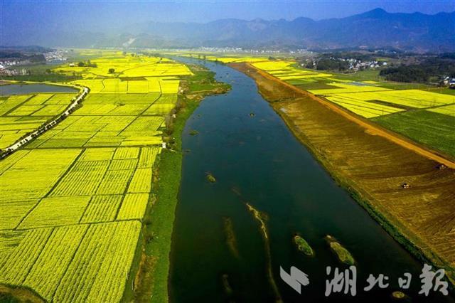 阳新排市人口_黄石市扶贫办到阳新县排市调研扶贫产业发展情况