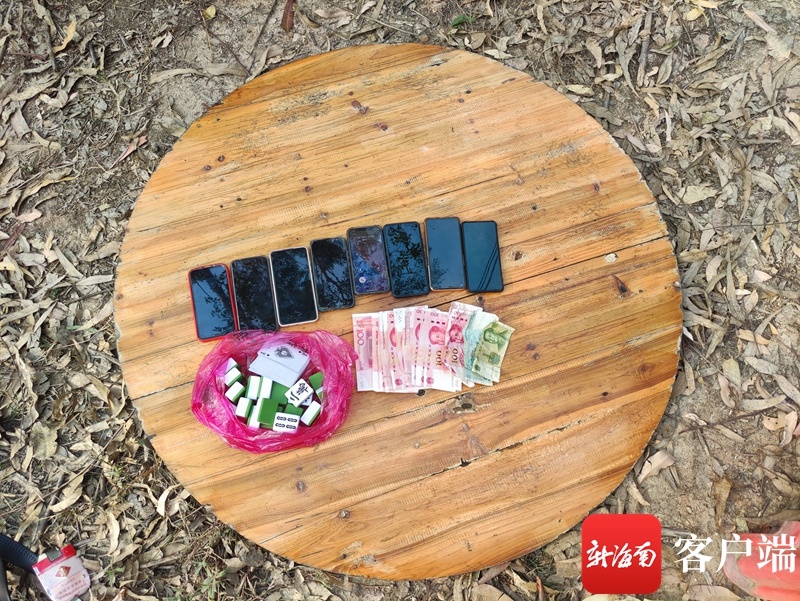 小树林里摆个桌“圈地自赌”，儋州这8个人栽了！