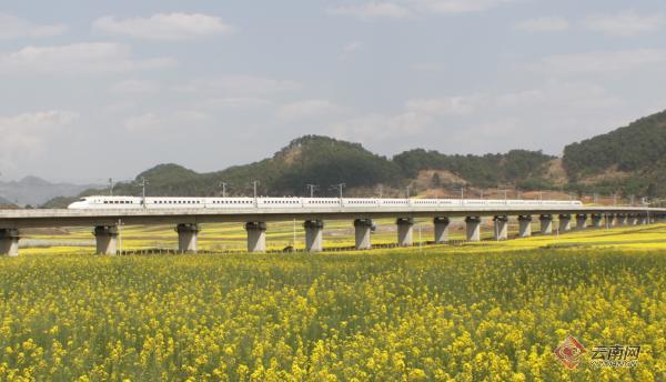 踏青赏花更便捷 清明假期云南铁路预计每天开180多对客车