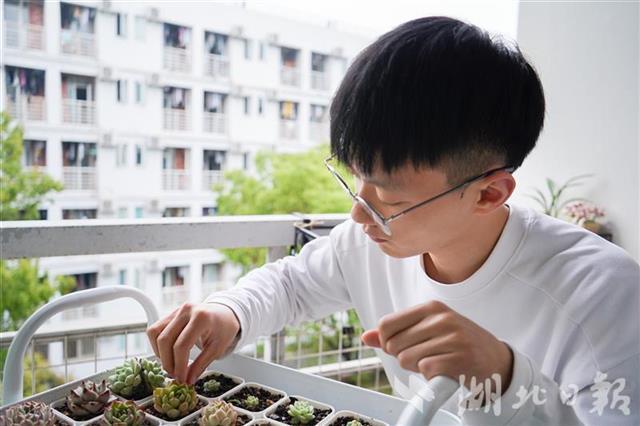 大学生用200多盆多肉植物将阳台变成小花园