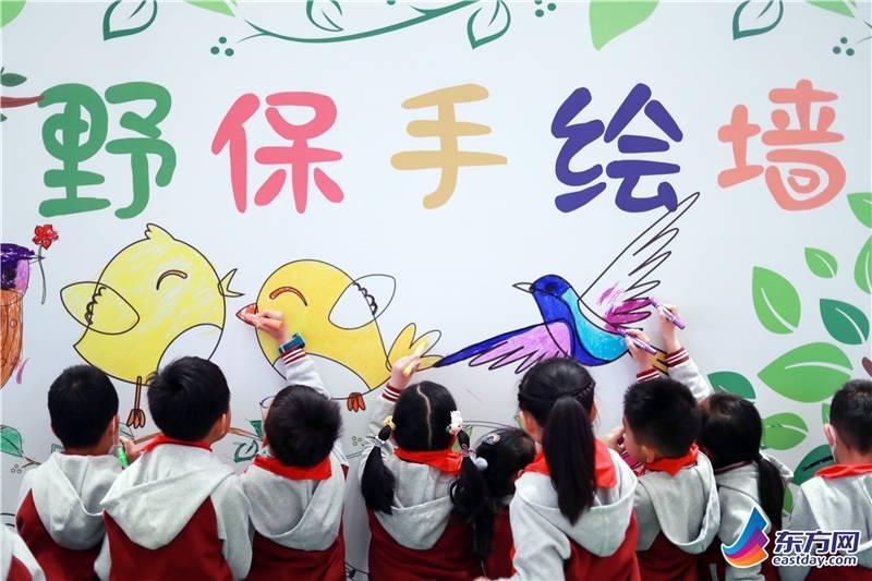 林聚千鸟 和谐共生 第40届上海市“爱鸟周”启动