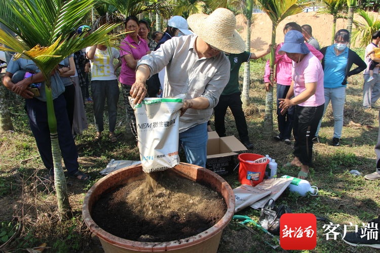 三亚举行槟榔病虫害防治技术培训 提高村民槟榔种植技能