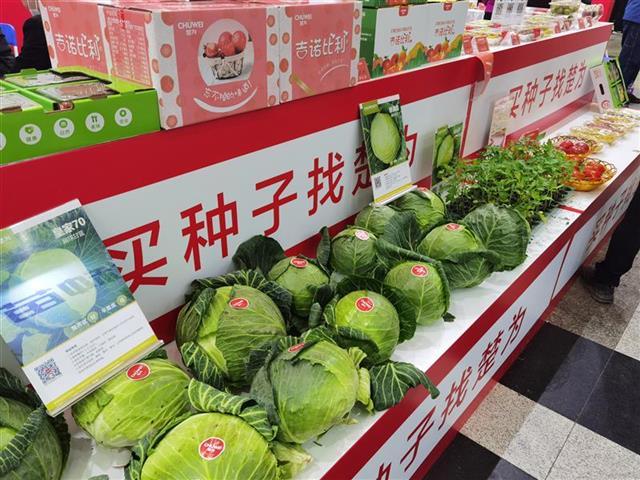 这场正在汉口举行的展会，新品种蔬菜看到你眼花