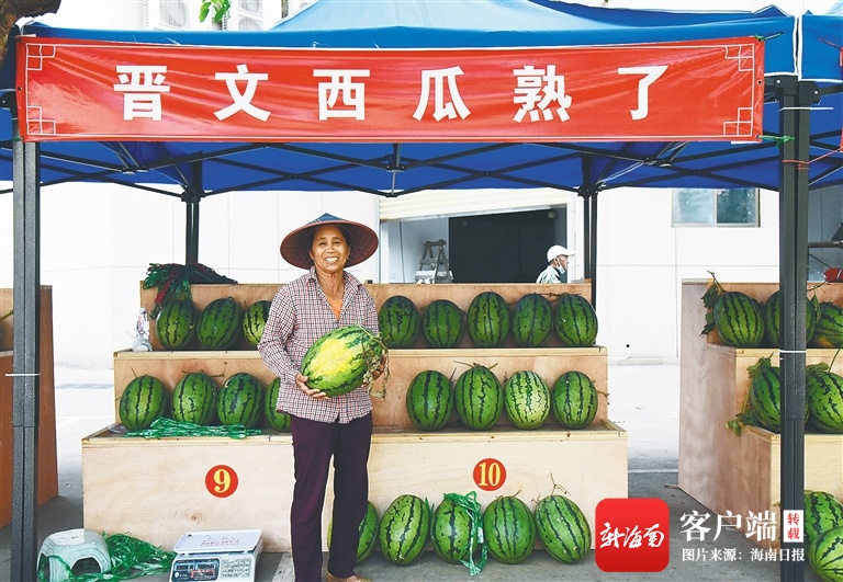 海口灵山镇开设“西瓜小集市” 每天帮晋文村卖3000多斤西瓜