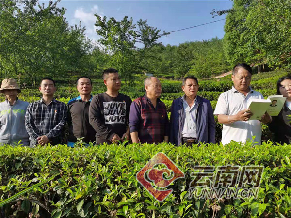 景东县茶特发展中心党支部创新支部主题党日活动助茶企发展