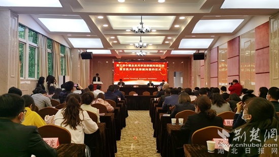 黄石小微企业共享法律顾问团启动 100名律界大咖帮助企业维权
