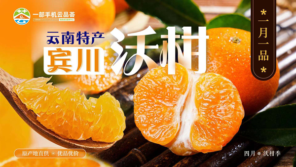 云南省“一月一品”农产品数字消费系列活动：大理宾川沃柑开始“春收春售”