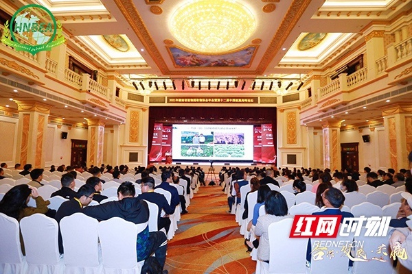 2021年湖南植提年会暨第十二届中国植提高峰论坛在长沙举行
