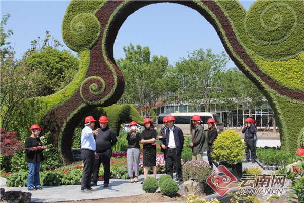第十届中国花博会即将开展 600余个植物品种齐聚展现植物王国缩影