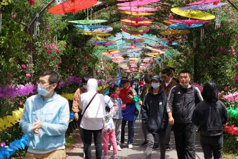 上海（国际）花展分会场人气高涨 长兴岛郊野公园前三天累计接待游客7.8万人次