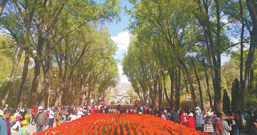 五一假期，西宁市人民公园吸引众多游客