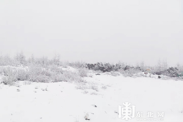 立夏迎降雪!“中国爱情小镇”新林上演白色浪漫