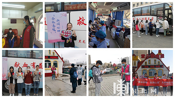 无偿献血、开设中医小课堂……龙江中医青年为社会办实事