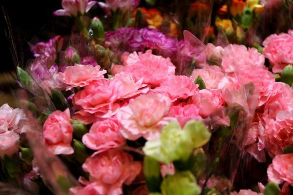 2021母亲节| 送花攻略：除了康乃馨，这些花语你知道吗？