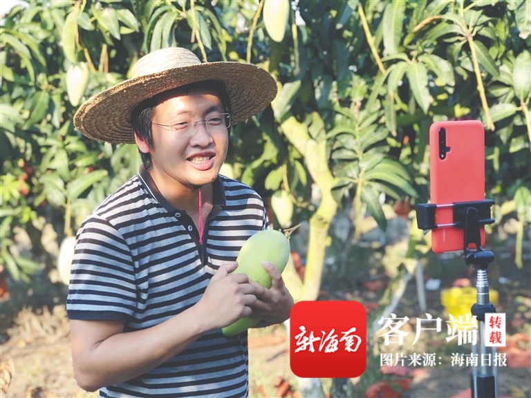 海南周刊 | 数字农业时代，看海南“新农人”如何用手机玩转果园