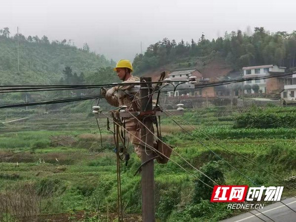 国网供电员工冒雨立杆除隐患获村民点赞