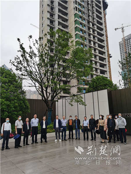 武昌杨园街组织人大代表开展“三进”活动 保障辖区项目建设