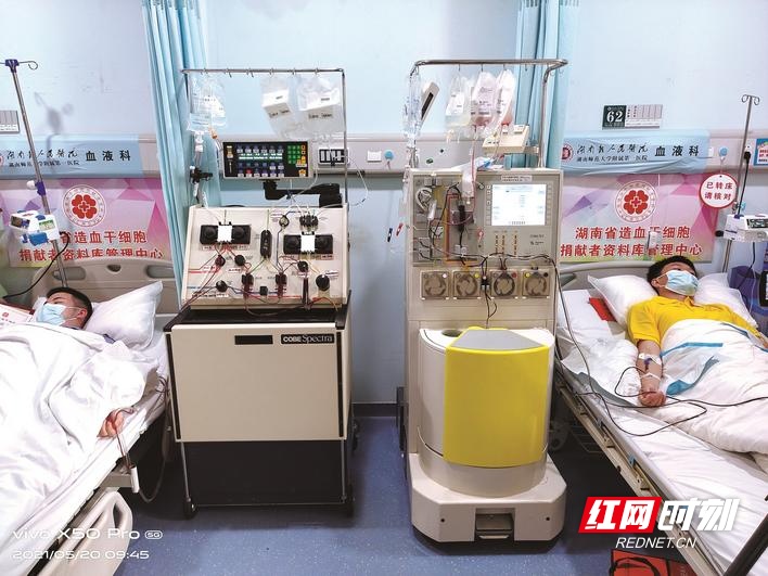 “爱的礼物” | 长沙县2名大学生捐献造血干细胞挽救“遥远”的小生命
