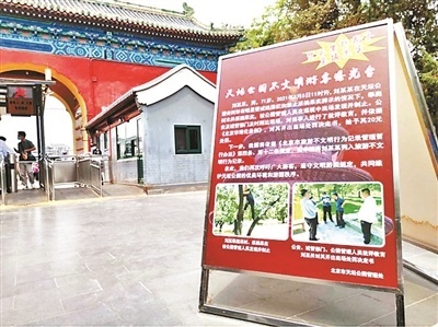 防游客爬树摔伤 北京天坛公园定期摘杏