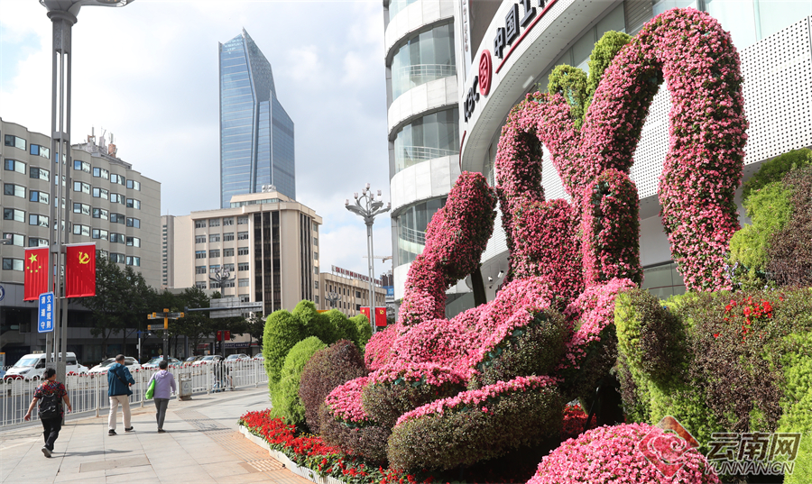 春城街头花坛造景花团锦簇,分外美丽.