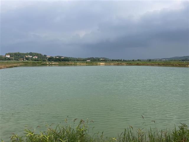 梁子湖江夏湖区达到近5年来最好水质
