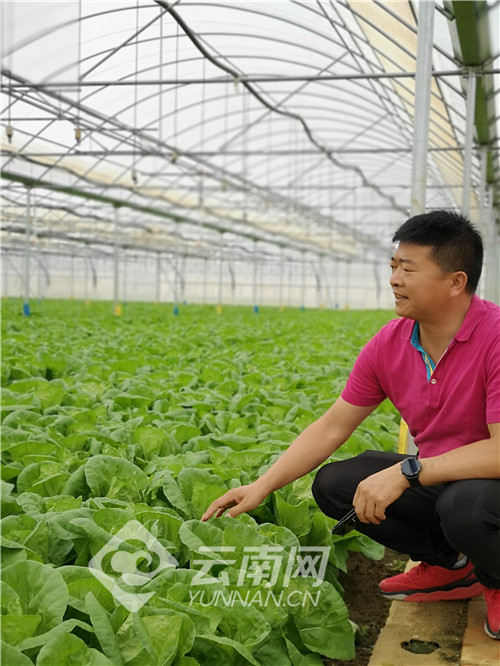 【百名劳动者贺百年】朱红青：从农民工到创业孵化基地创建者