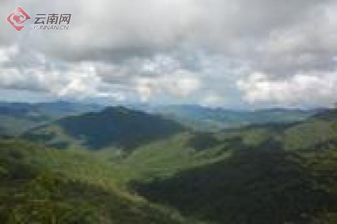 云南镇康县大力保护南捧河自然保护区生物多样性