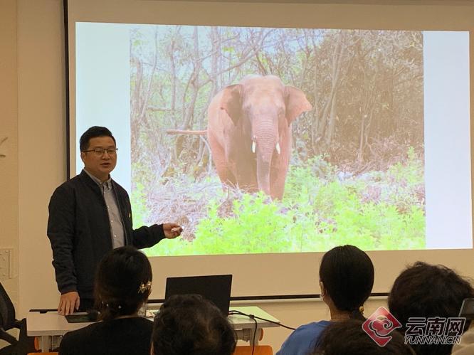 昆明圆通西路社区：保护亚洲象 促进生物多样性保护与发展