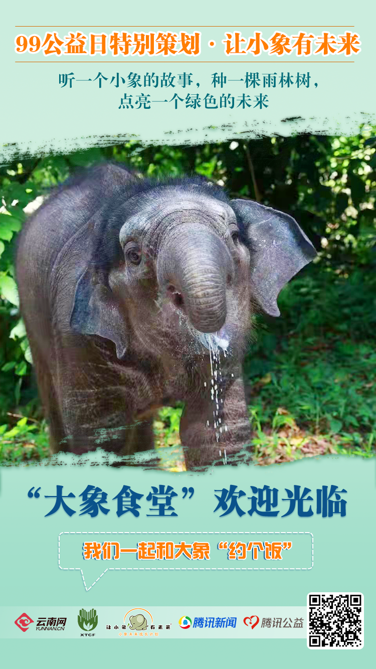 【99公益日特别策划·让小象有未来】建大象食堂 给雨林开个天窗