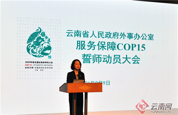 云南省外办举行服务保障COP15誓师动员大会