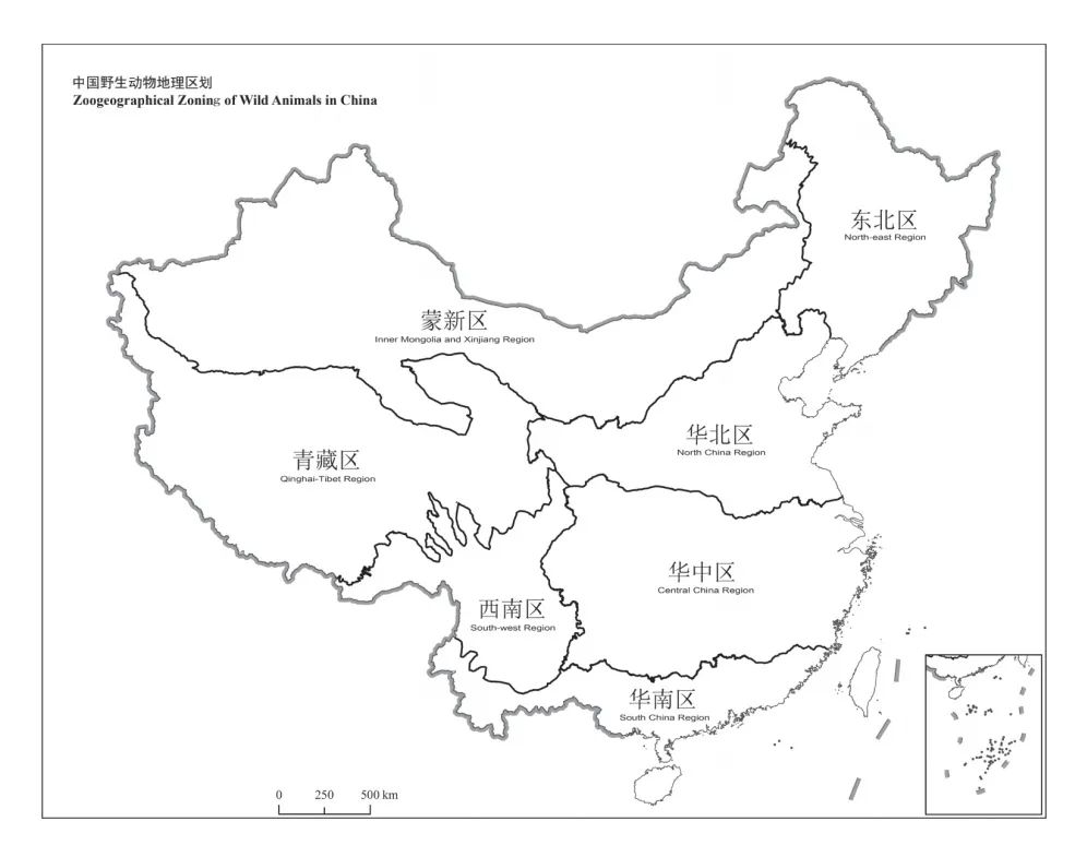 记录多样性的中国野生动物,用摄影语言讲好中国生态故事