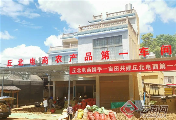 云南丘北打造农产品电商第一车间 小黄姜上市首日突破1万单