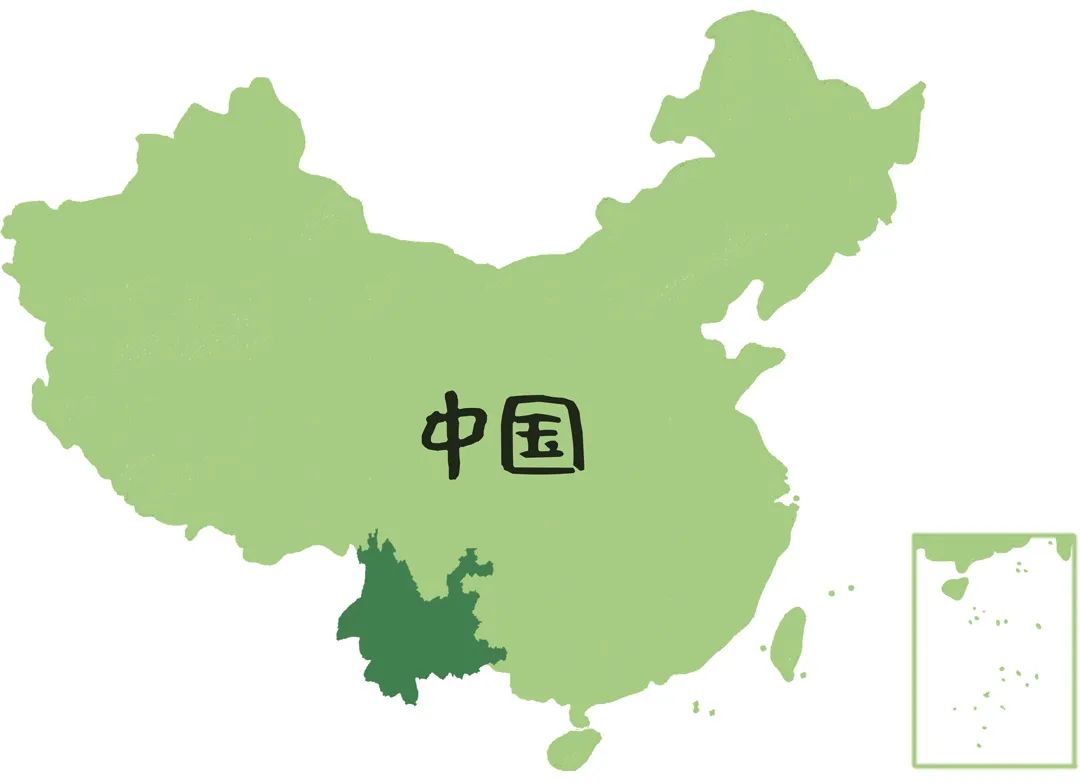 云南网 社会频道 云南看点 正文   cop15在中国举办,是国际社会对中国