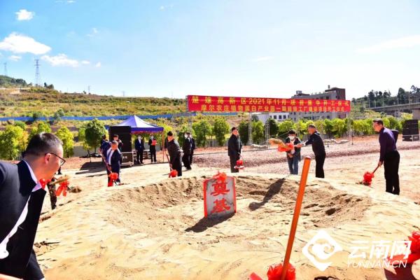 云南摩尔农庄植物蛋白产业园一期超级工厂项目开工建设