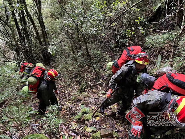 4名地质队员在哀牢山失联！玉溪市已累计投入1100余人次参与救援