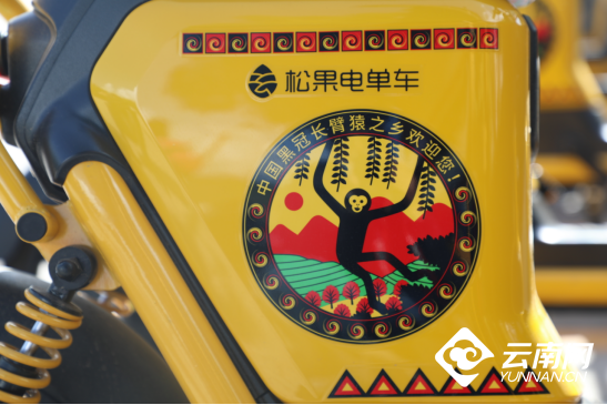 云南景东街头移动的“黑冠长臂猿保护宣传站”