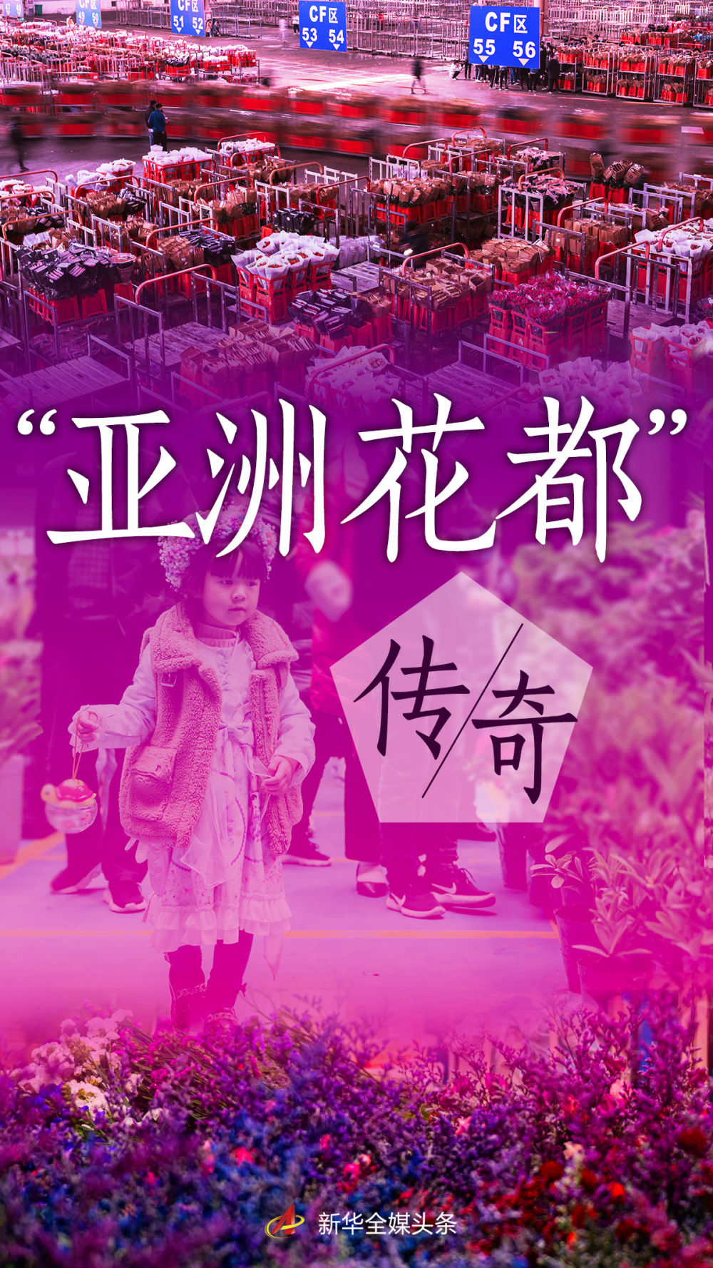 新华社记者节前探访“亚洲花都”：从斗南“花语”聆听奋进足音