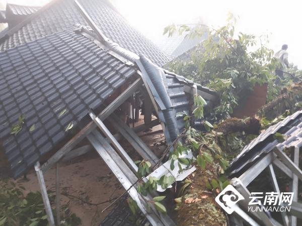 云南临沧：大树压倒民房，移民管理警察紧急救助