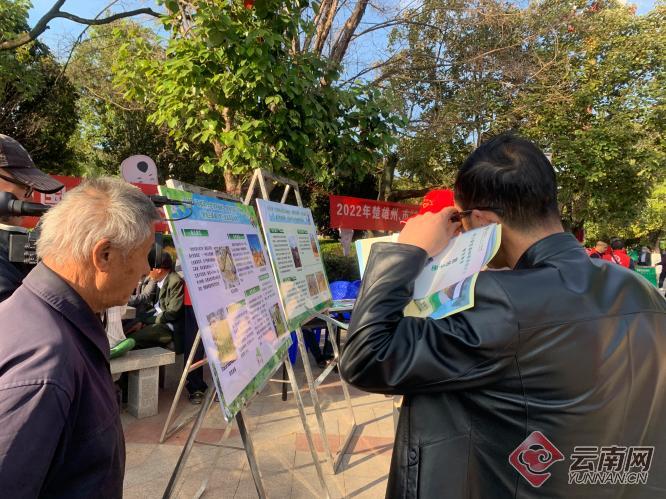 云南楚雄州开展“3·12植树节”主题宣传活动
