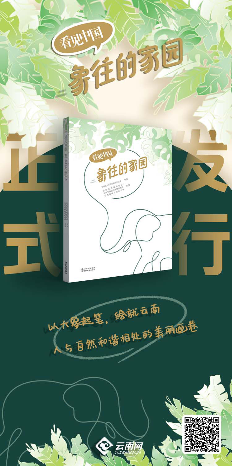 以大象为圆心绘出美丽云南画卷 生态读本《看见中国-象往的家园》正式出版发行