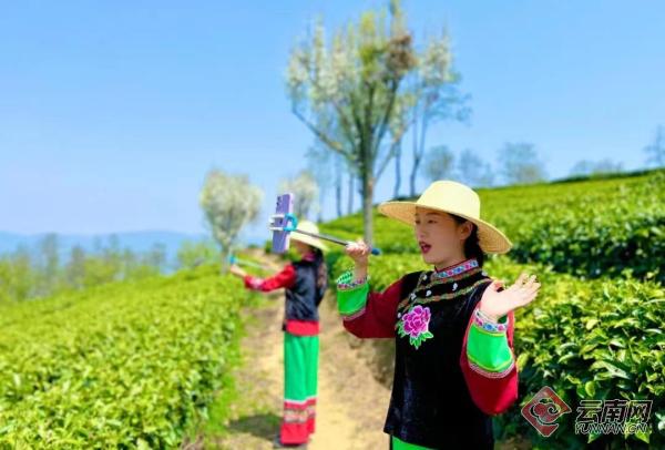 云南南涧：数字赋能 助力高原特色农业高质量发展
