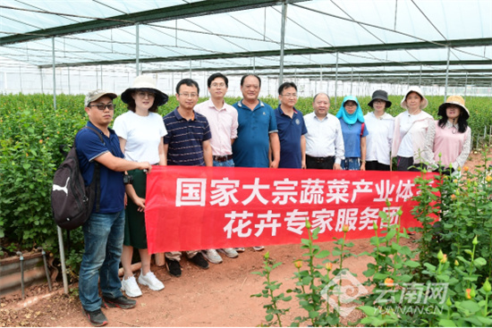 国家大宗蔬菜产业技术体系花卉专家团走进云南武定