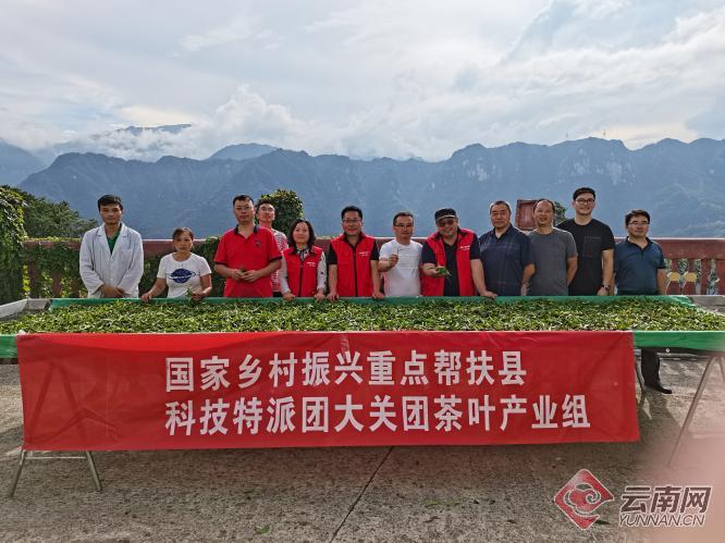 国家科技特派团专家组为大关县茶产业高质量发展建言献智