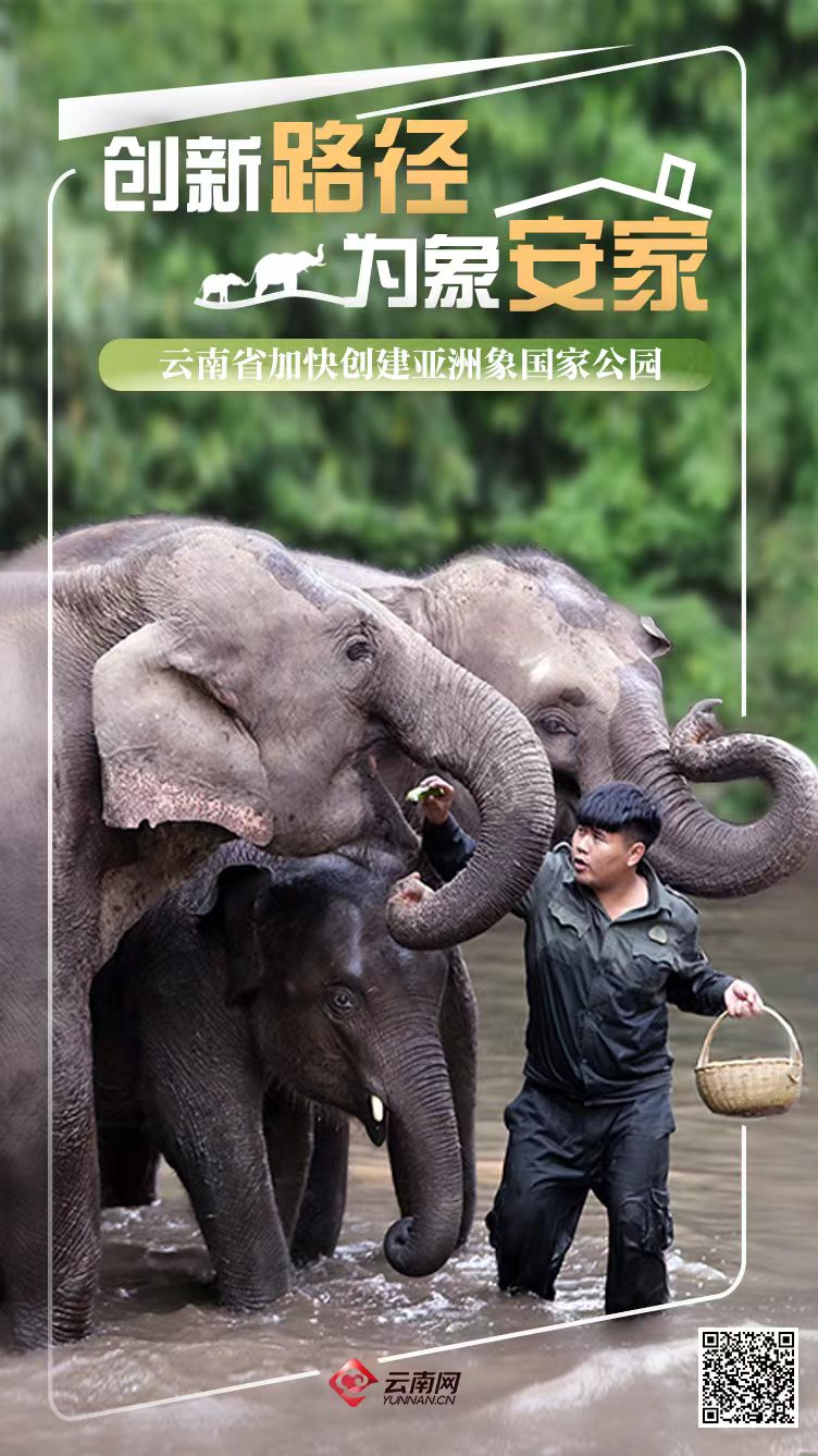 云南省加快创建亚洲象国家公园 创新路径 为象安家