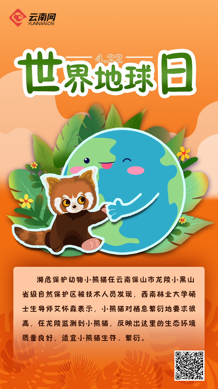 00305399935_55f54f5a.png