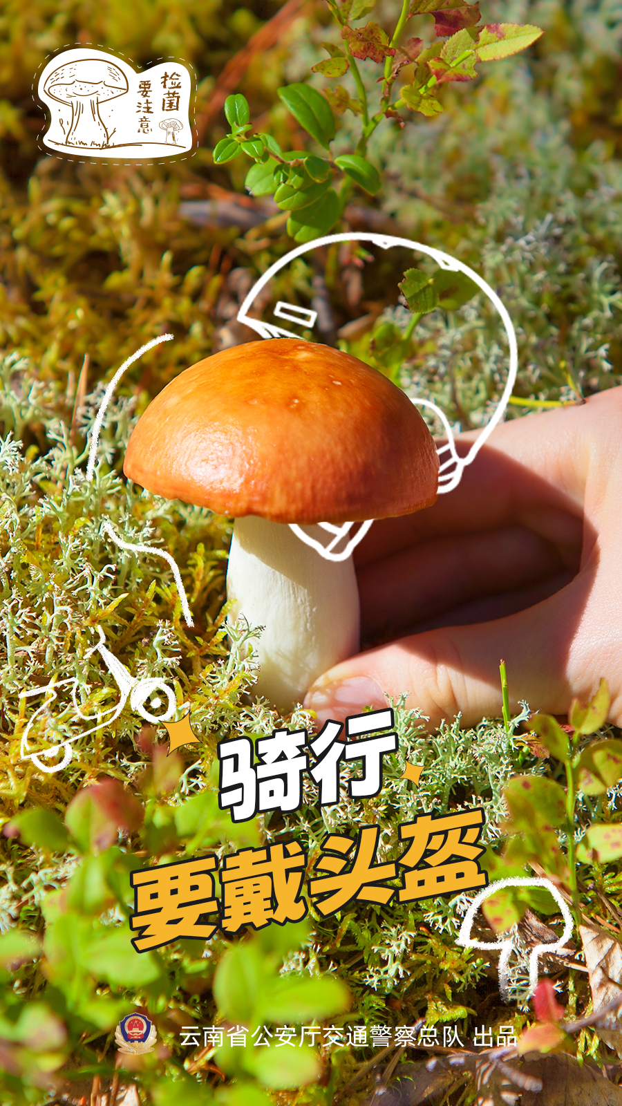 可以食用的野生菌图片及名称 00306335999_21c68c3e.jpg