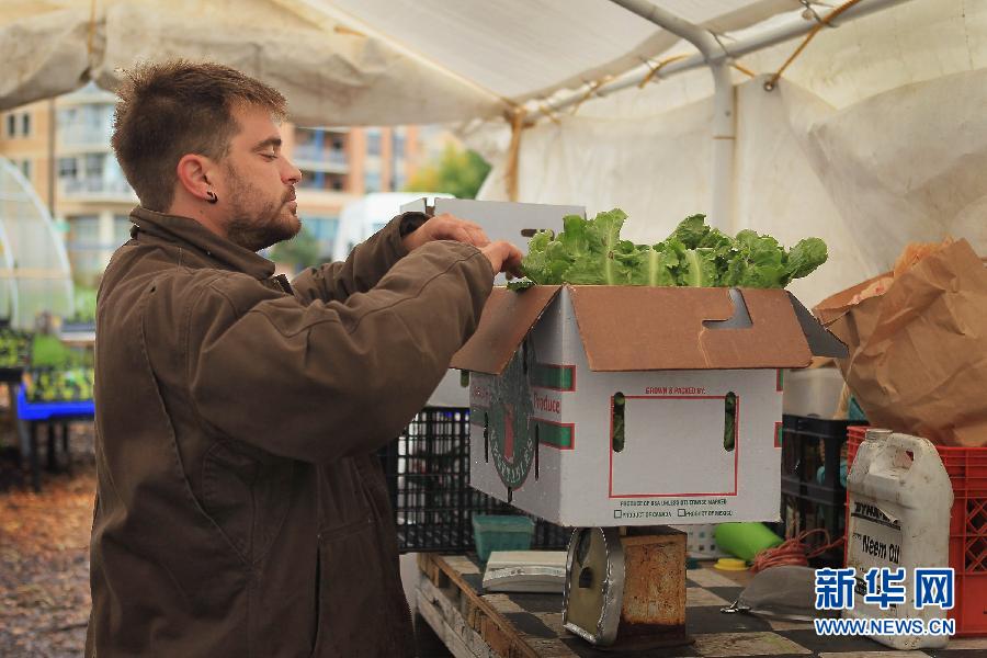 城市边缘的迷你农场