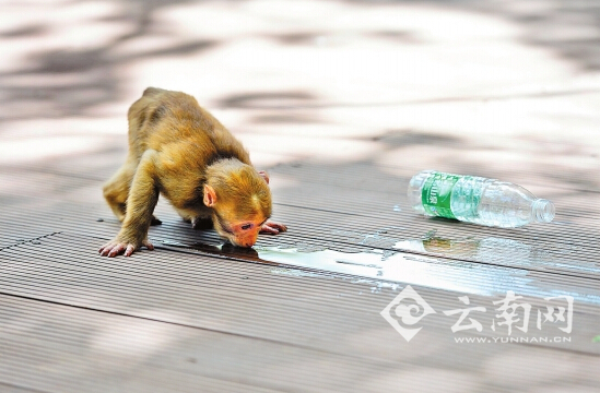 打翻水图片