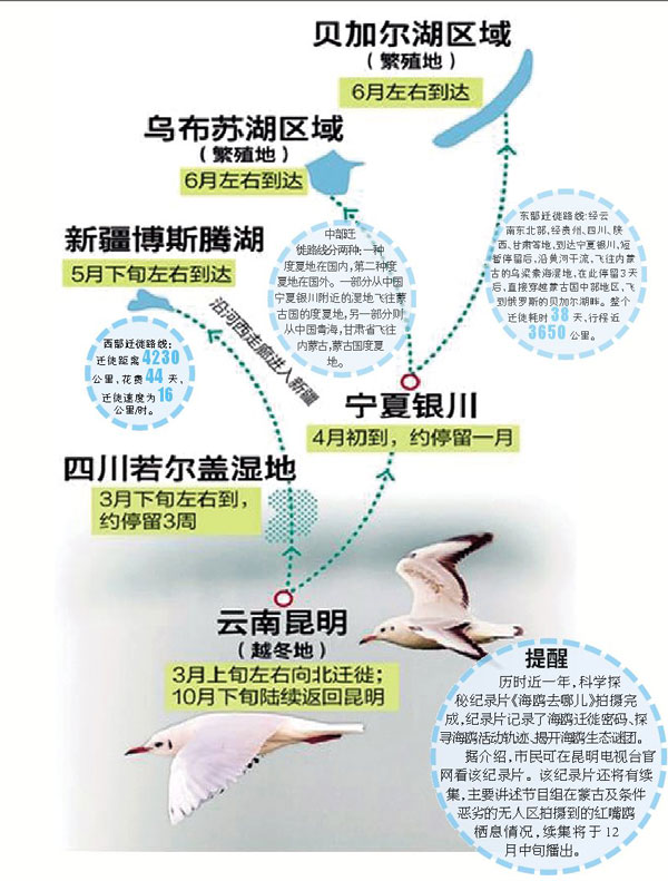 "湖泊—流域"系统理念及其在鄱阳湖生态经济区建设中的应用